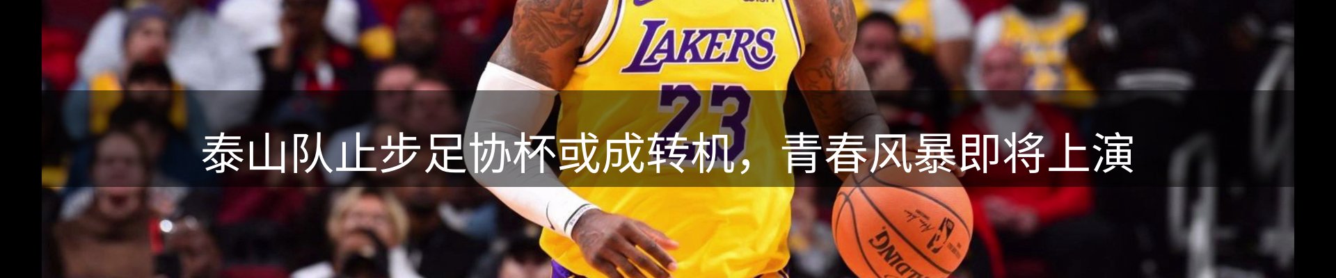 每日简报